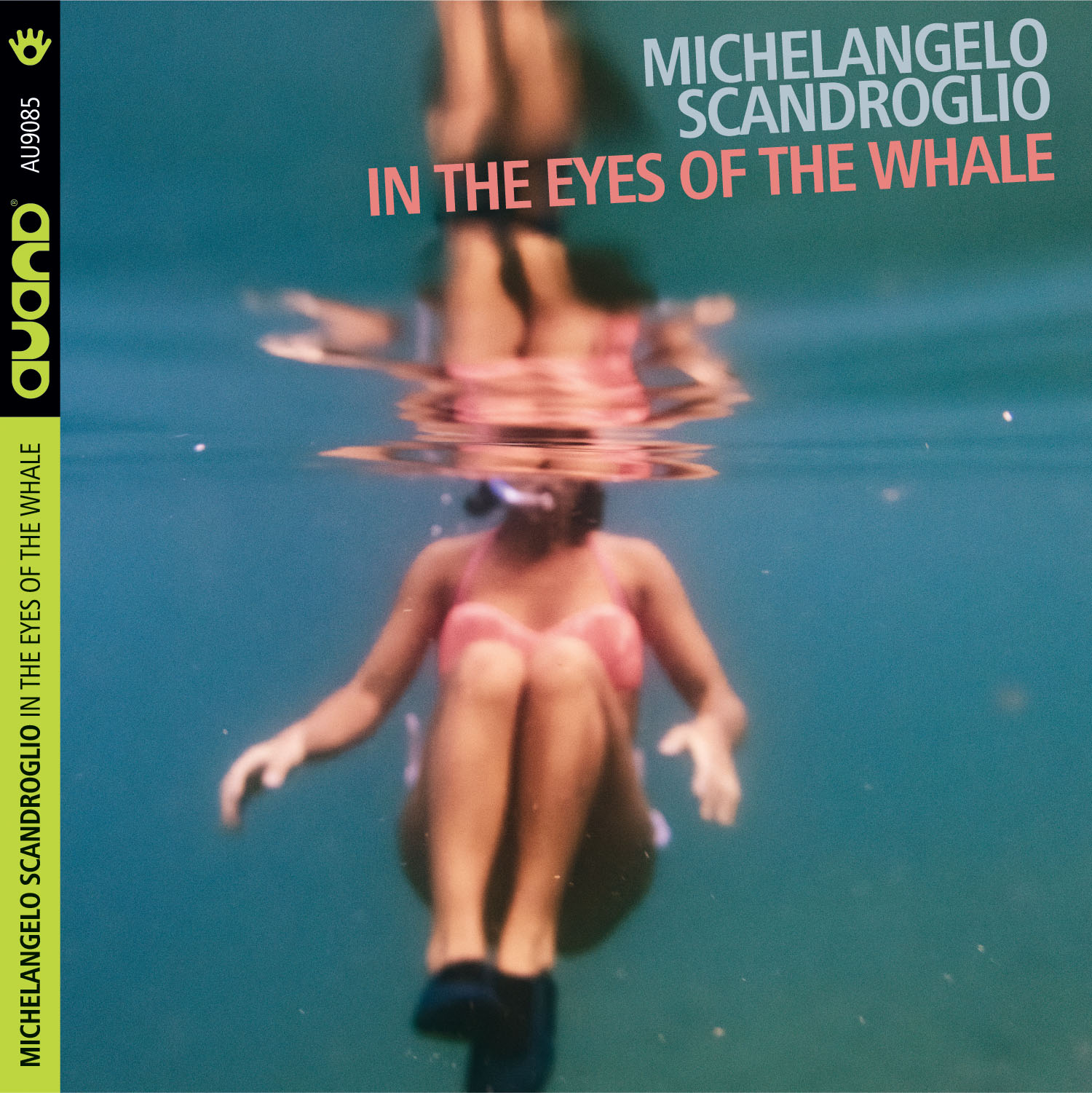 Michelangelo Scandroglio, «In The Eyes of the Whale», Auand 2020